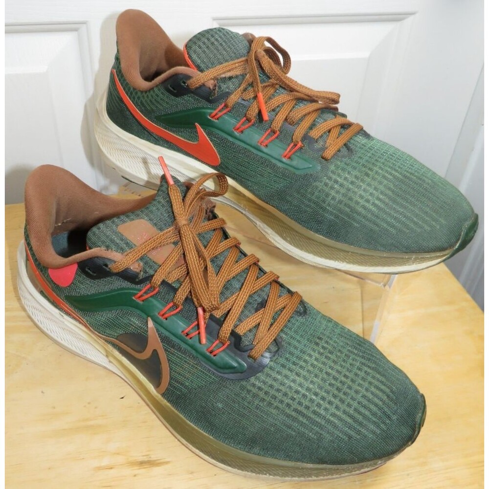 Nike Air Zoom Pegasus 39 x A.I.R Hola Lou Men's 9.5 Green/Brown Shoes DO9500-300